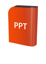 MS PowerPoint Expert